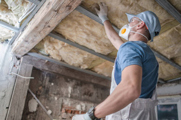 Best Insulation Maintenance and Repair in Evergreen, MT