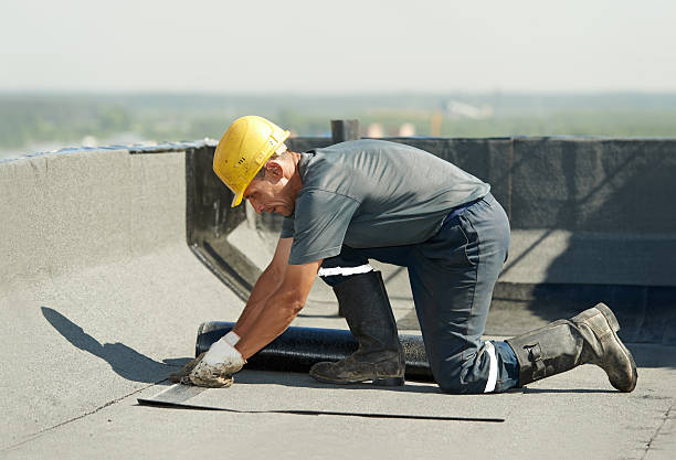 Best Cellulose Insulation in Evergreen, MT